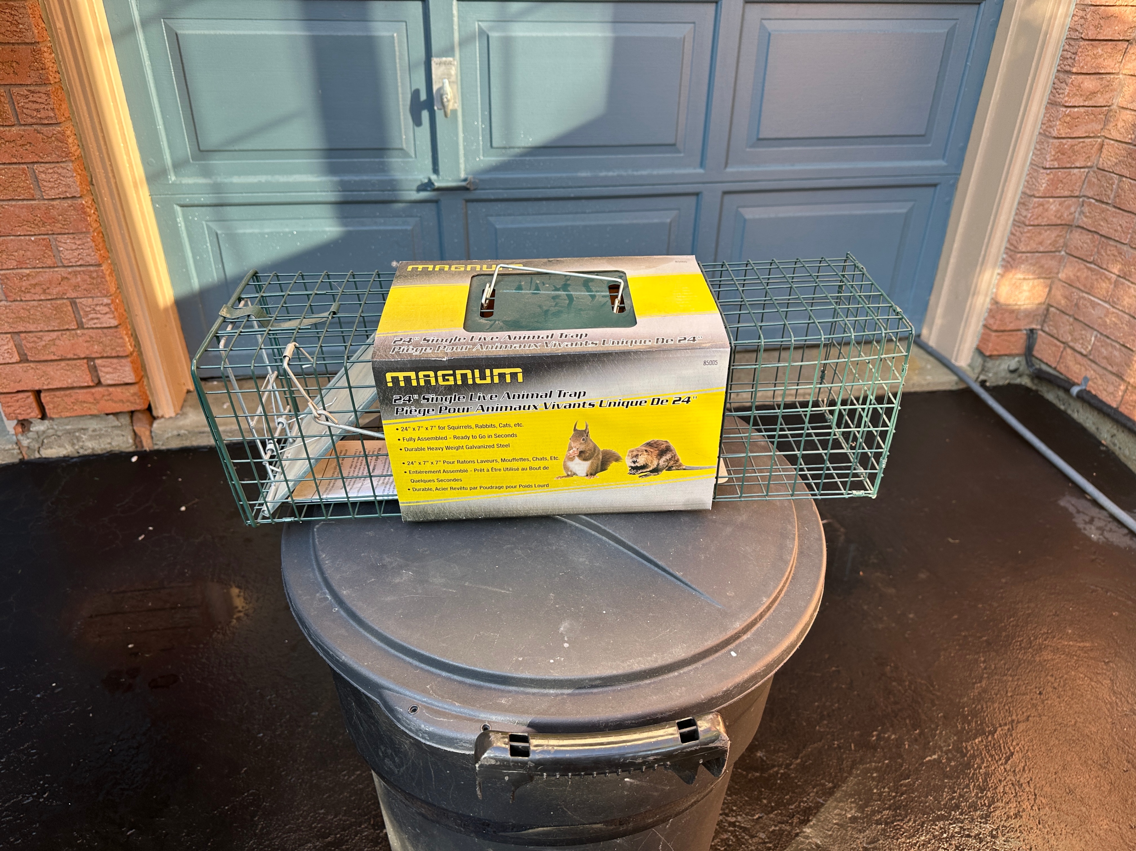 24-inch Single Live Animal Trap