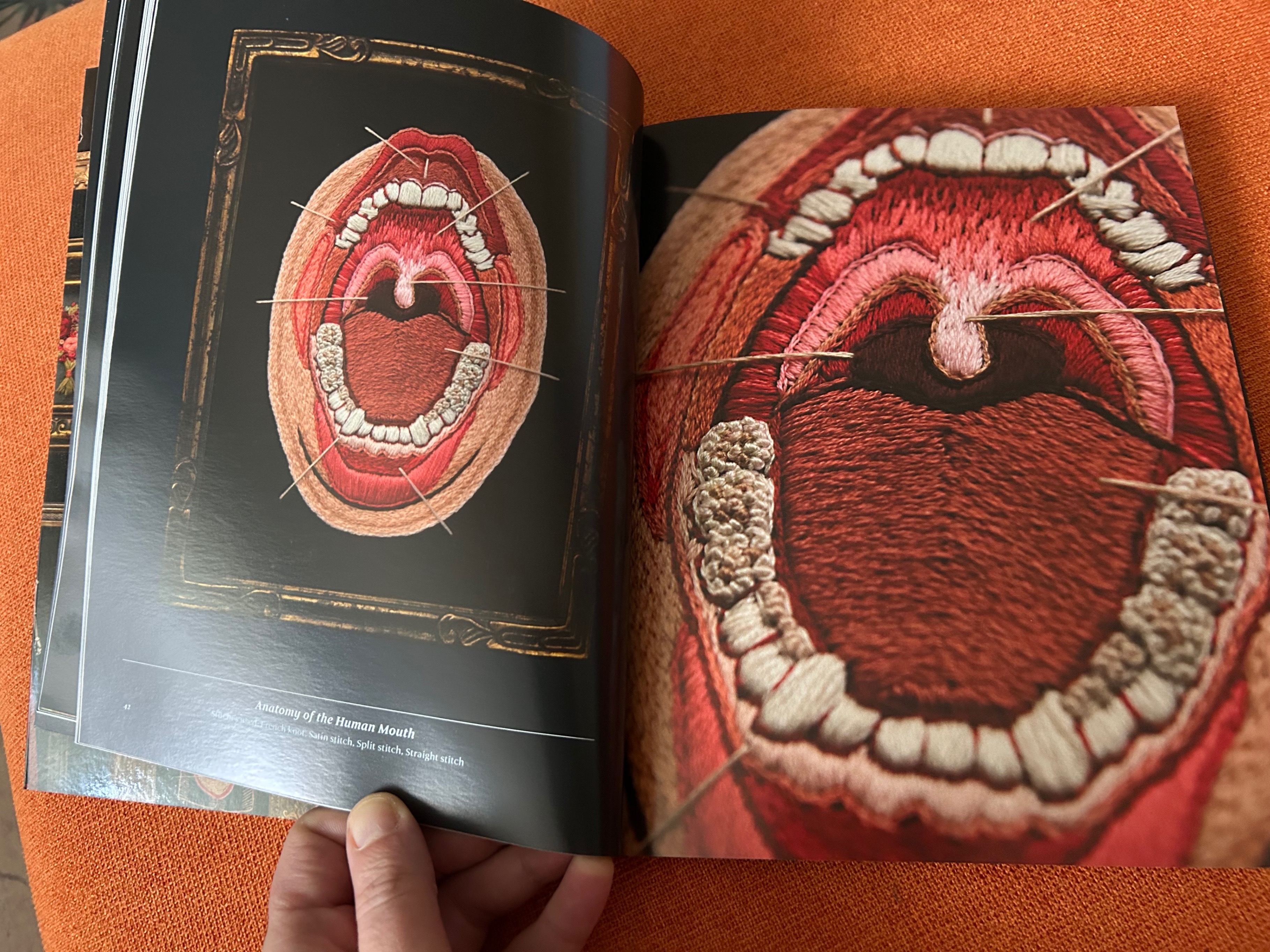 Stitchcraft: Embroidery Book of Stitches Peculiar Patterns - photo 4