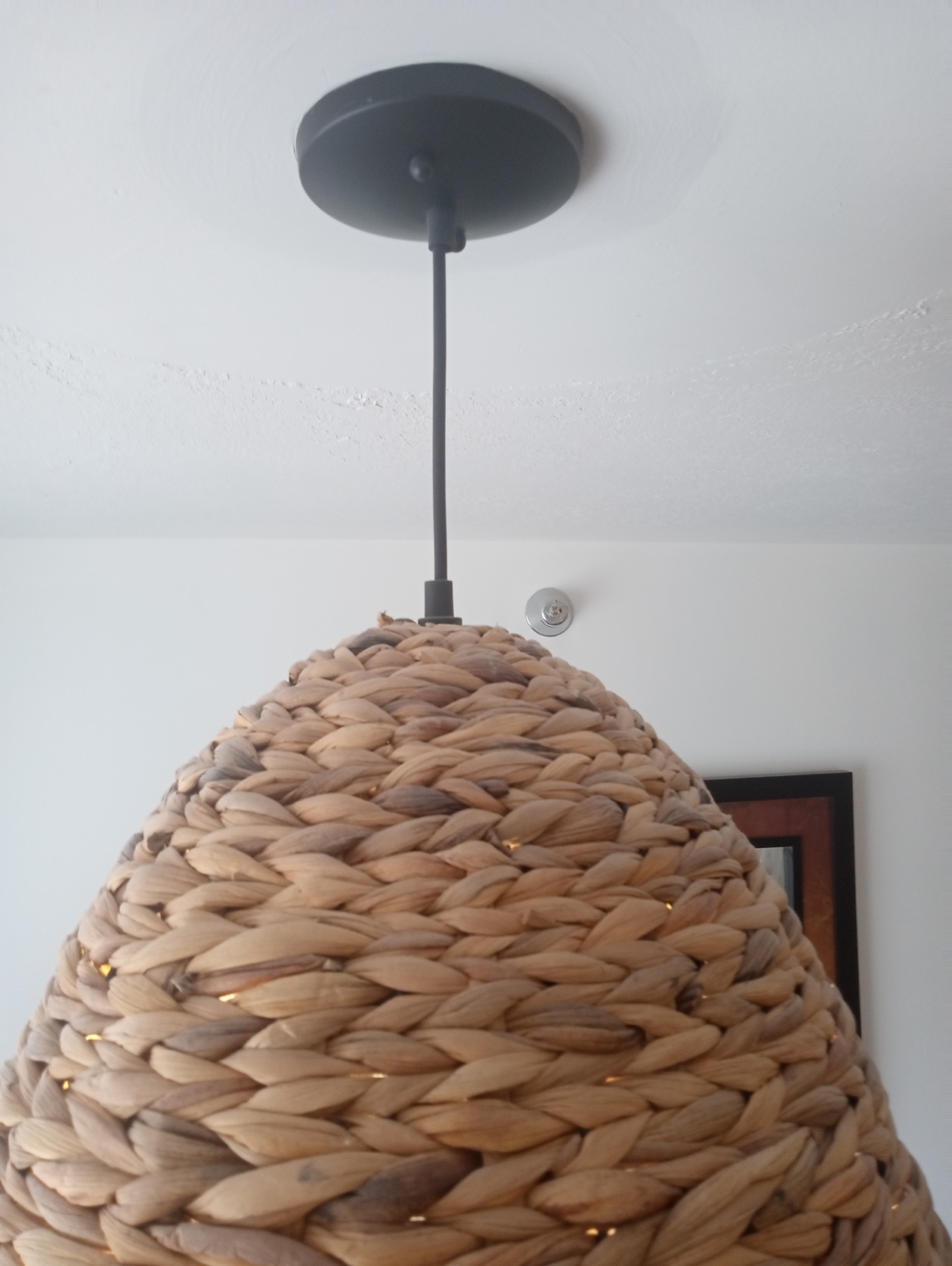 Brand New Bohemian Dome Incandescent Pendant Light - photo 2
