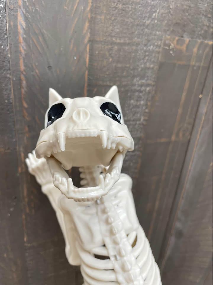NEW - Cat Skeleton - photo 3