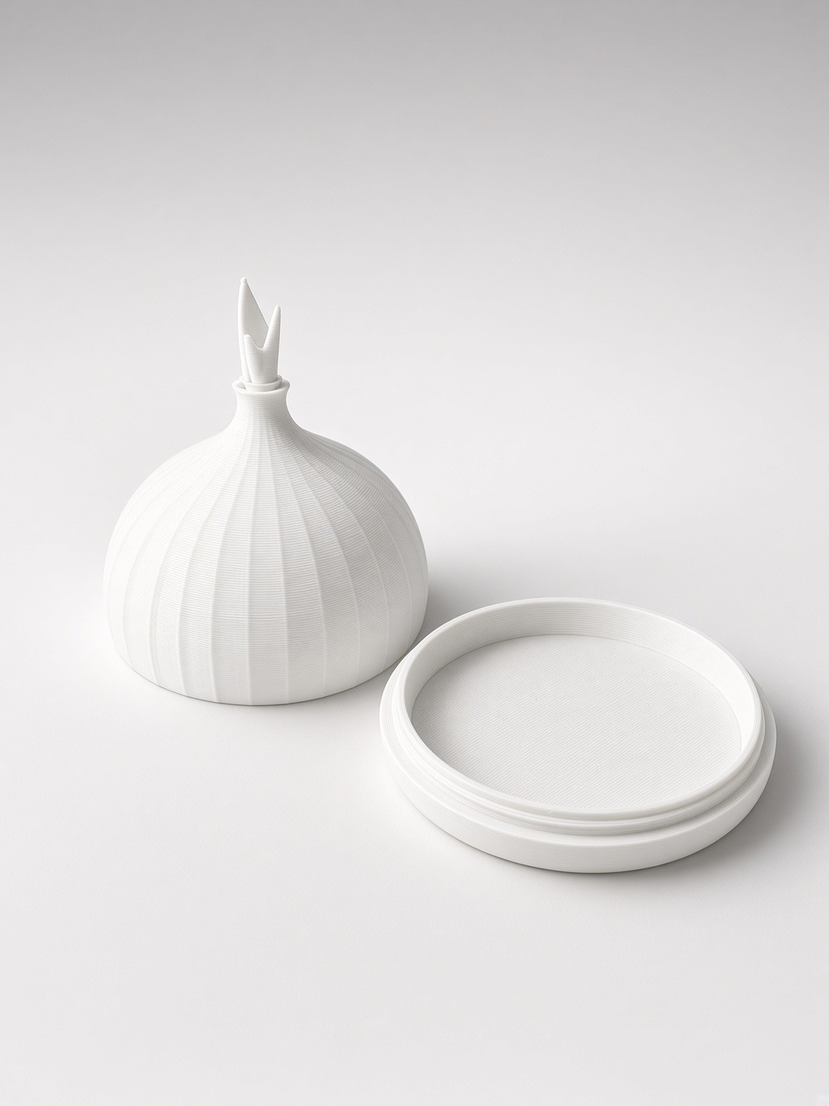 Onion Storage Box with Lid, 3D Printed - photo 5