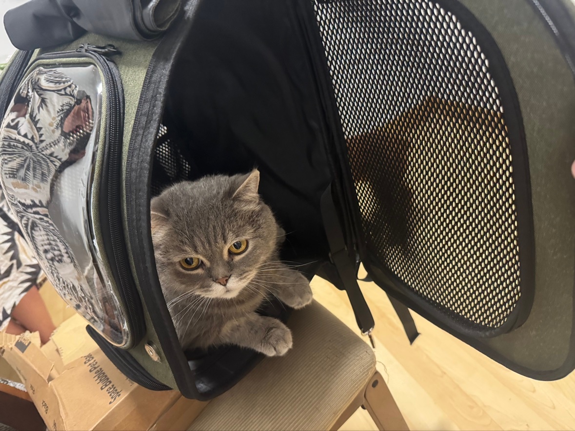 Pecute Pet Carrier Backpack - Olive Green