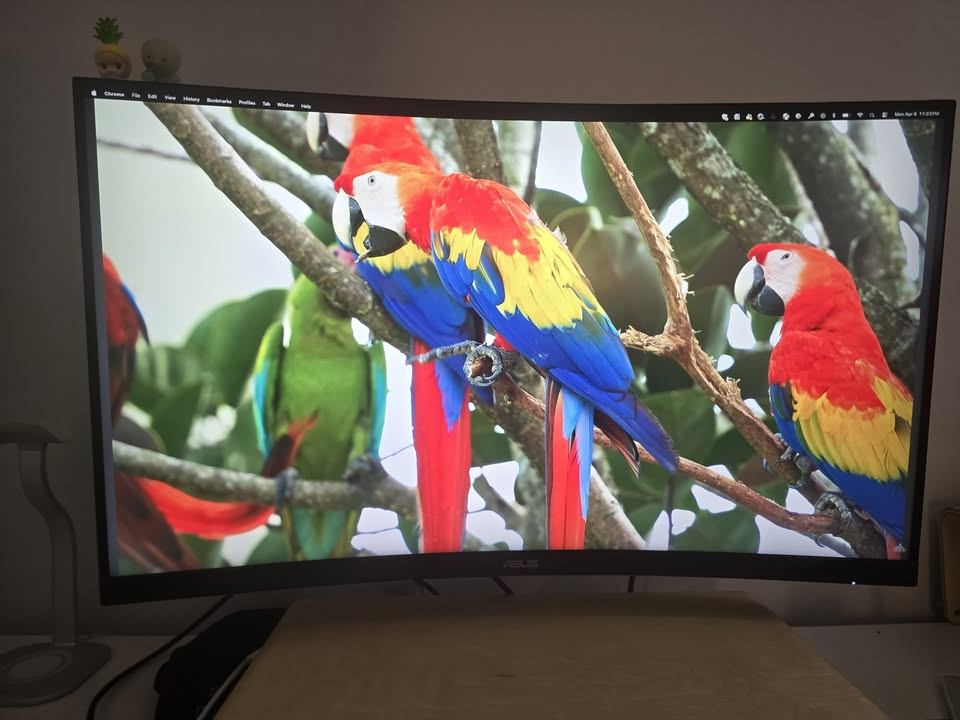 Gaming Monitor (VG32VQ1B) with monitor arm, in great condition