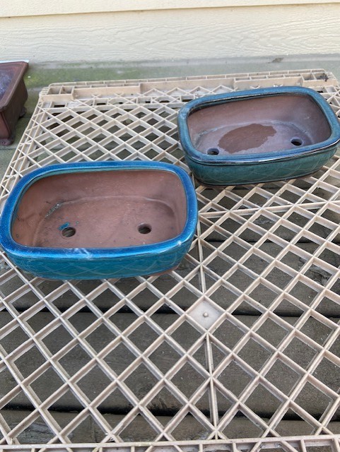 8" Bonsai Pot $20 each