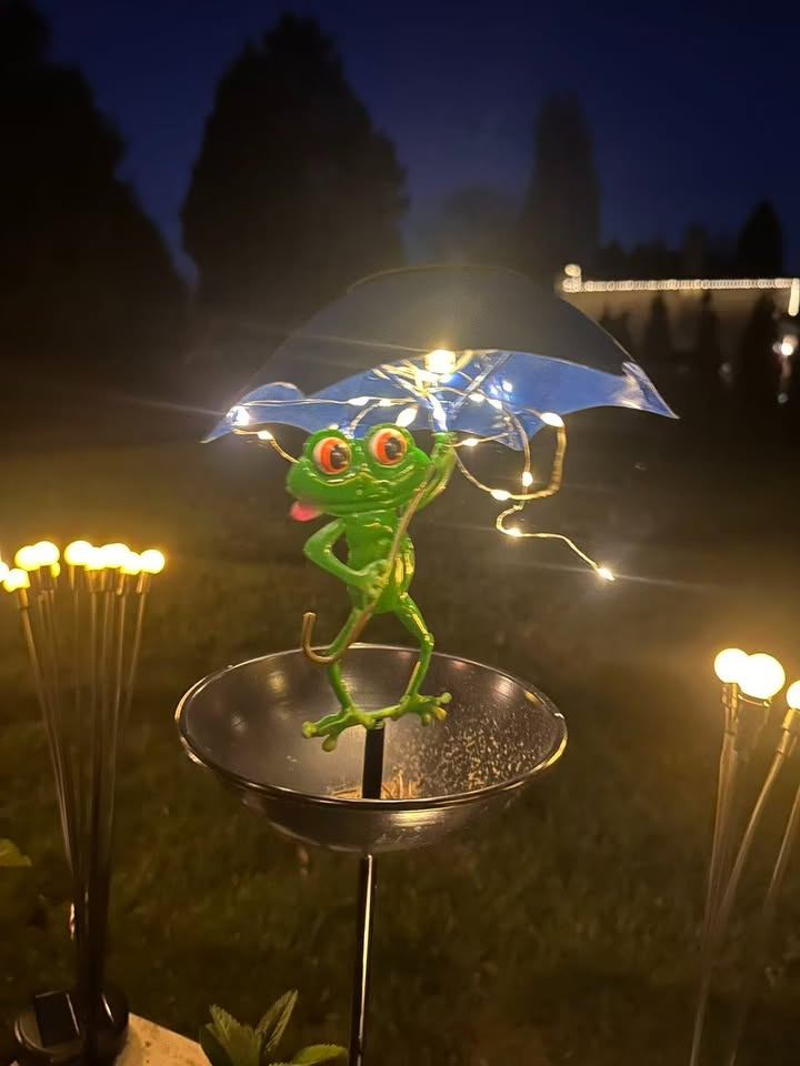 Solar Frog Garden Light – Umbrella & Feeder Bowl