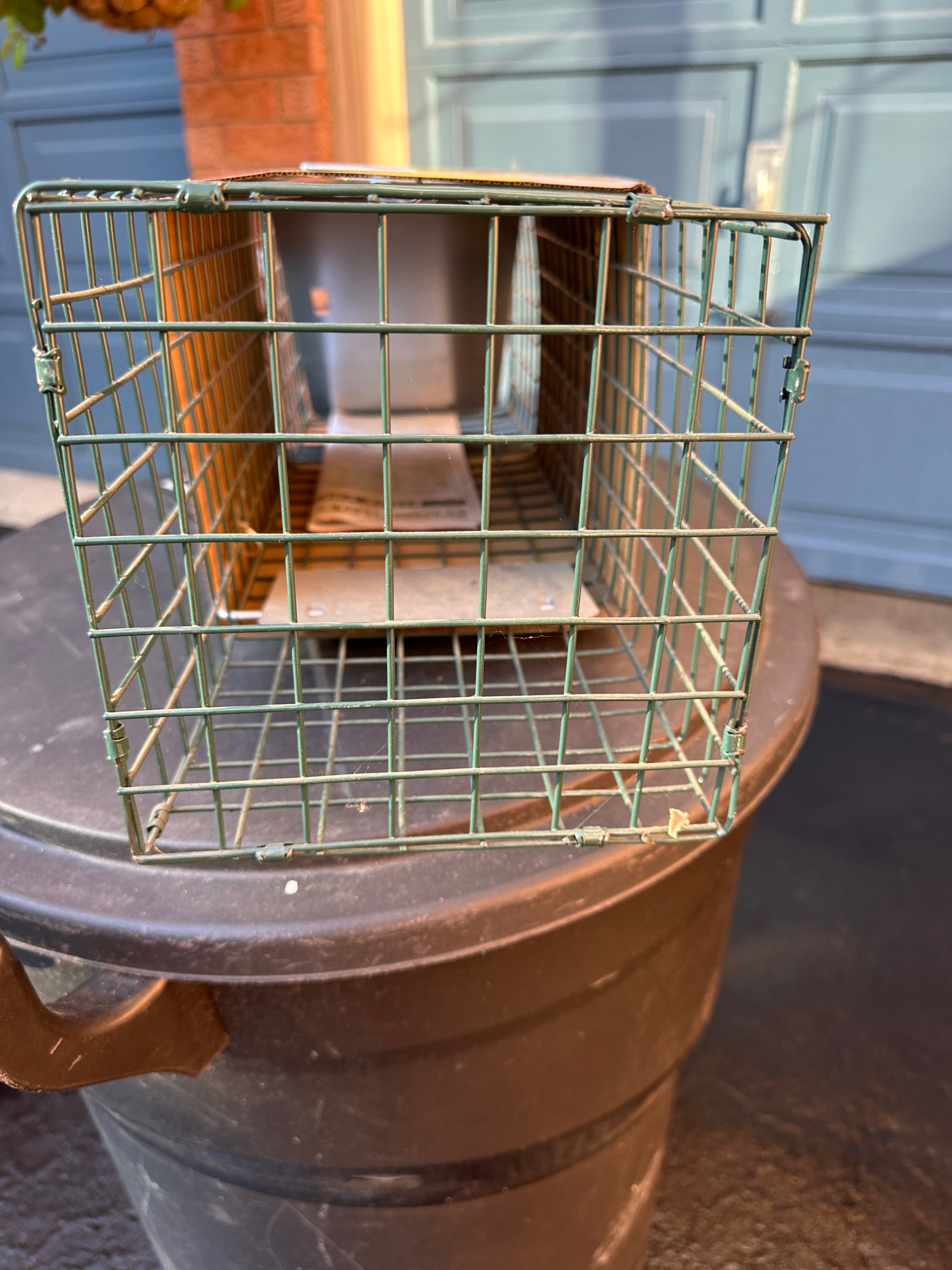24-inch Single Live Animal Trap - photo 4