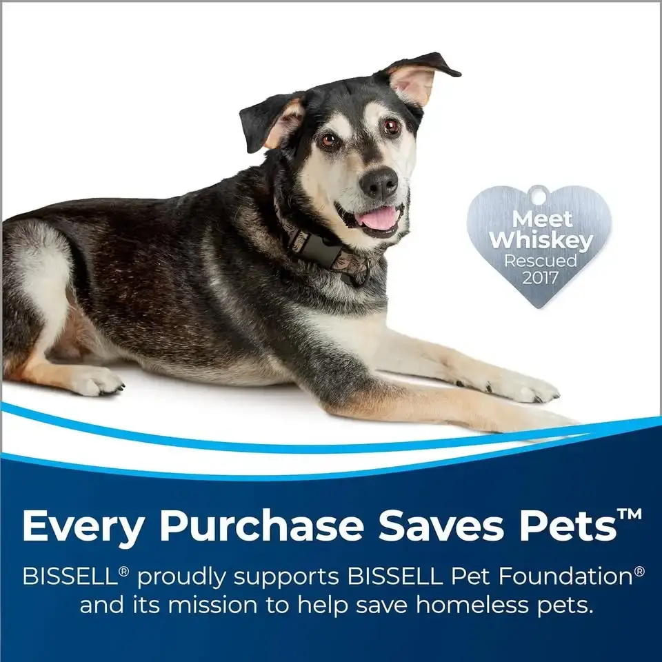 Bissell TurboClean PowerBrush Pet Carpet Cleaner - photo 2