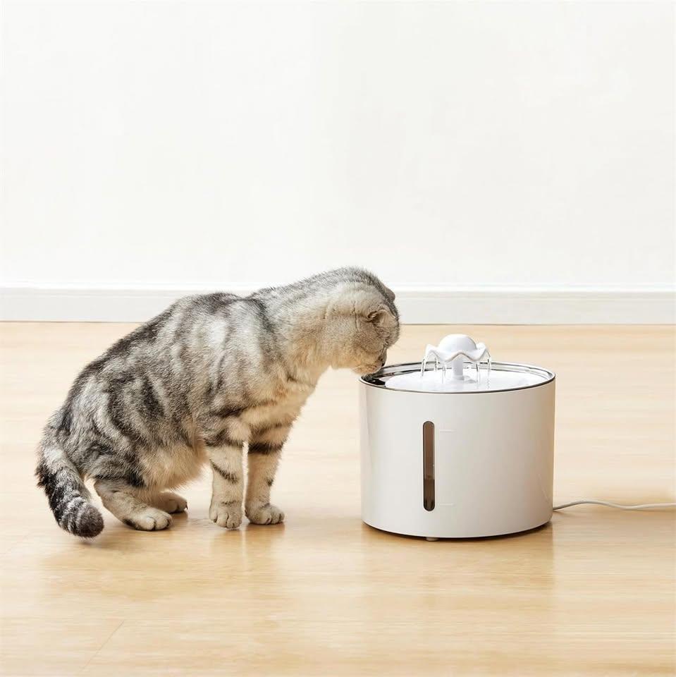 Stainless Steel Pet Water Fountain with 3 Filters, 3L (New) - photo 2