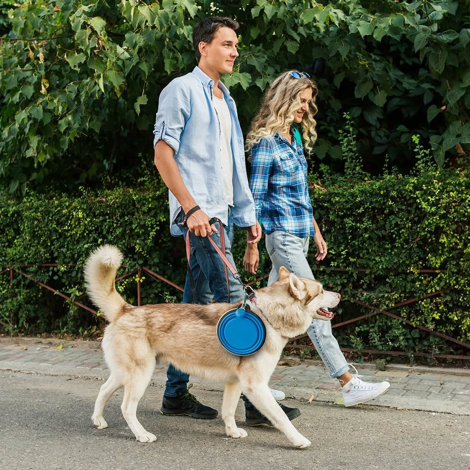 600 ml Collapsible Dog Bowl with Lid & LED Light - photo 5