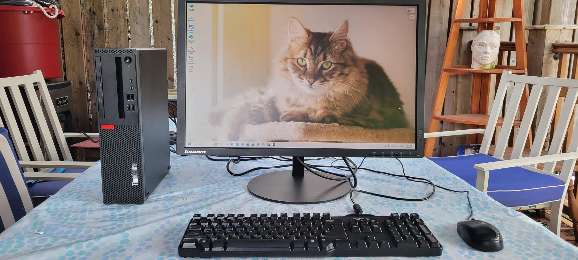 Complete Lenovo Desktop Computer PC | Windows 11 | Office