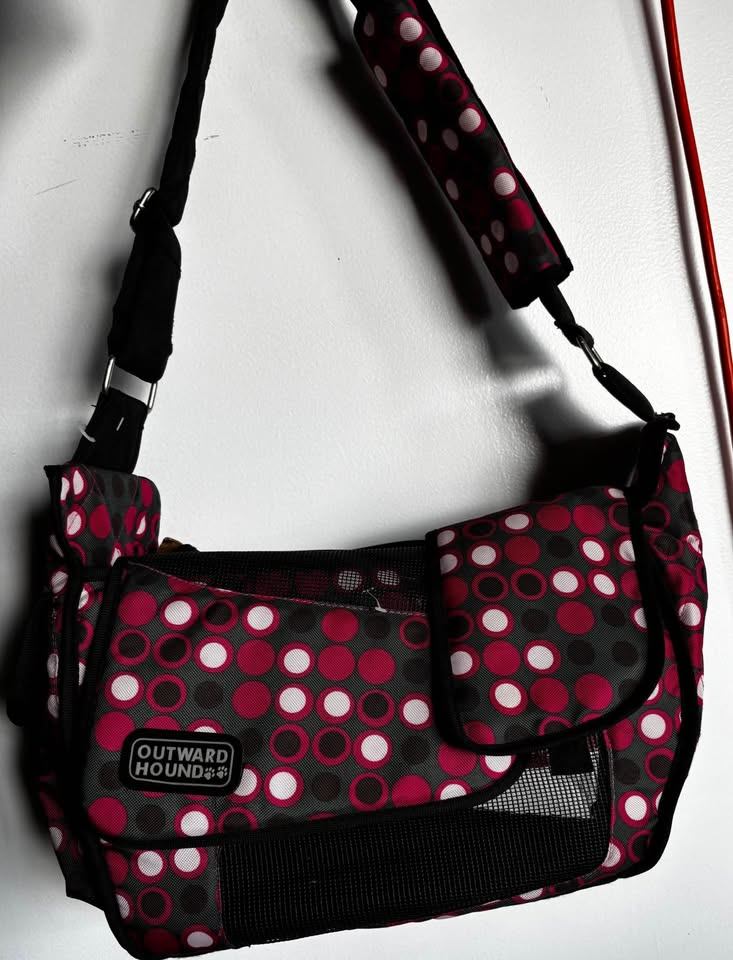 Outward Hound Courier Style Pet Carrier