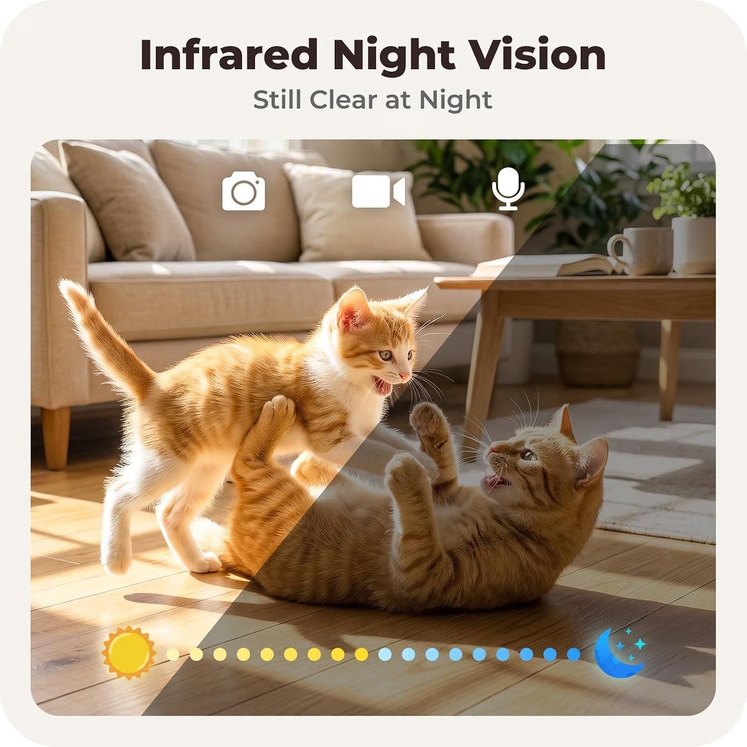 Automatic Pet Feeder with 2K Camera: 5G WiFi - photo 3