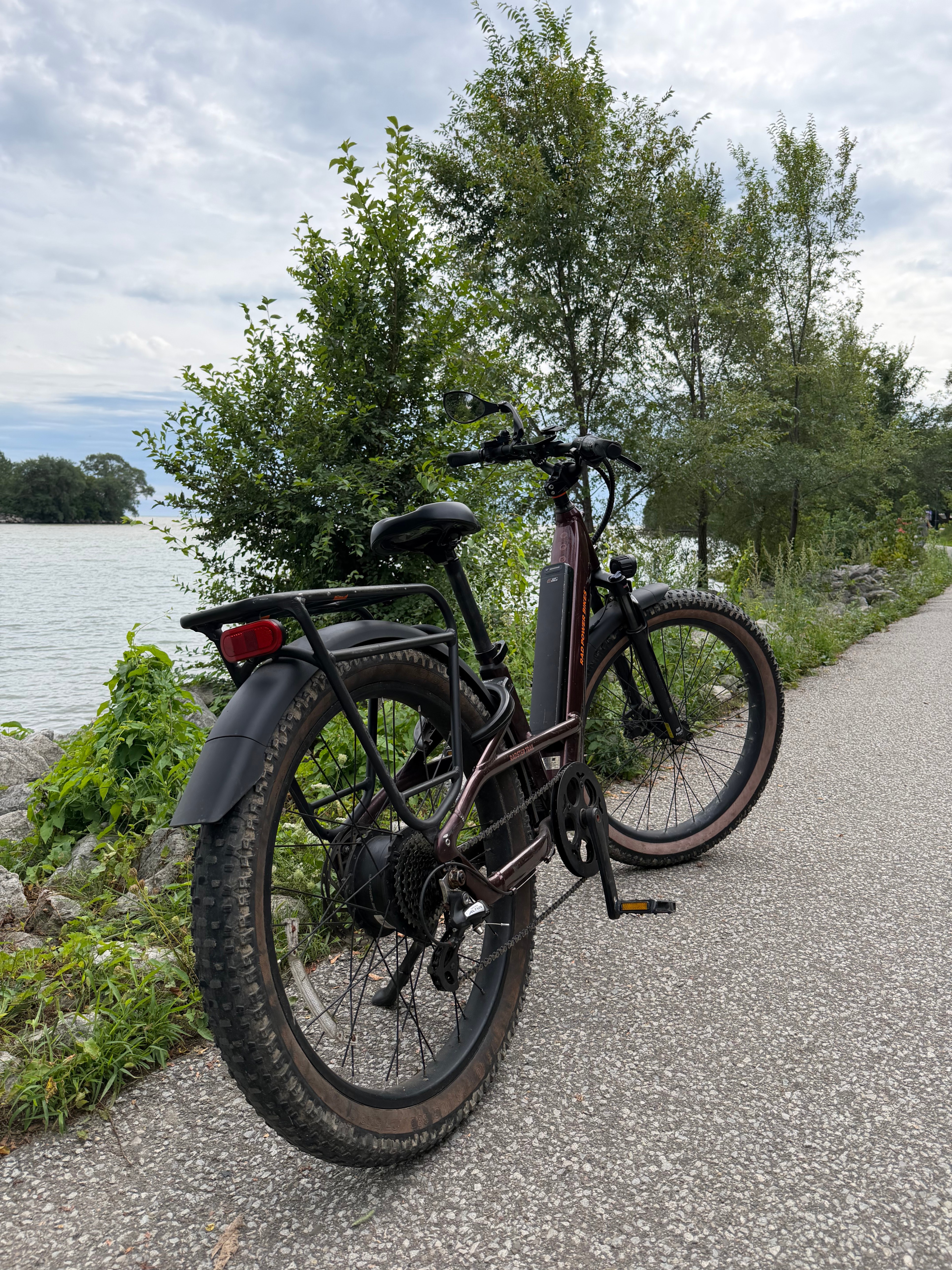 Rad Power Bikes Radster Trail – Excellent Condition + Extras - photo 3