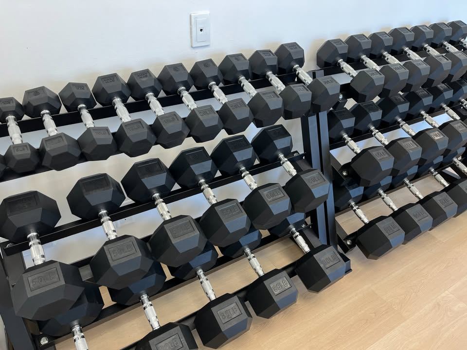Dumbbells 5-100 set