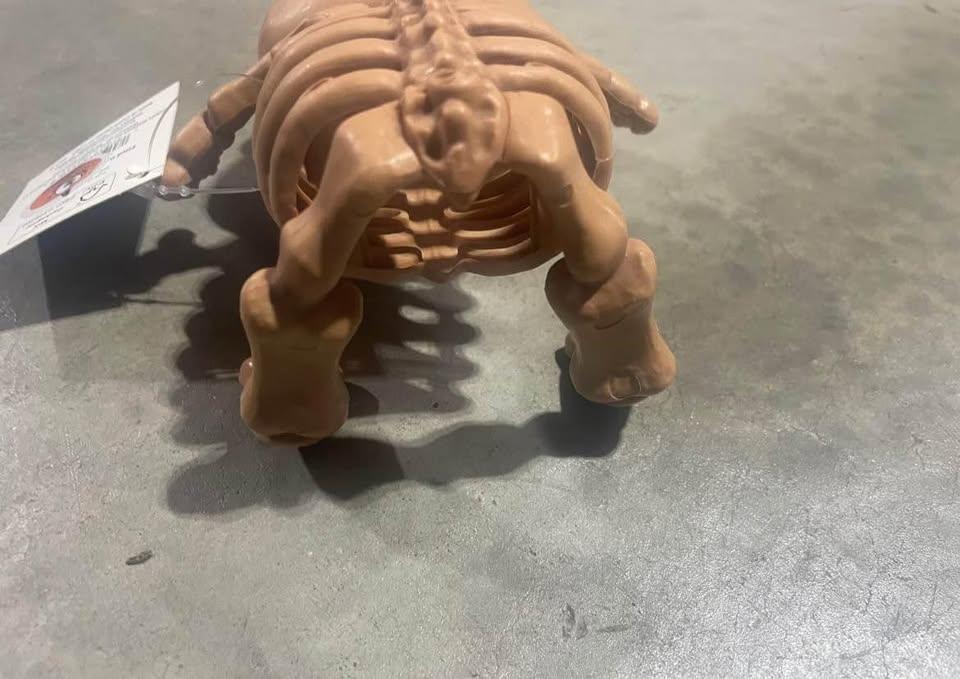 NEW- Halloween Evil Skeleton Bear - Faux - photo 2