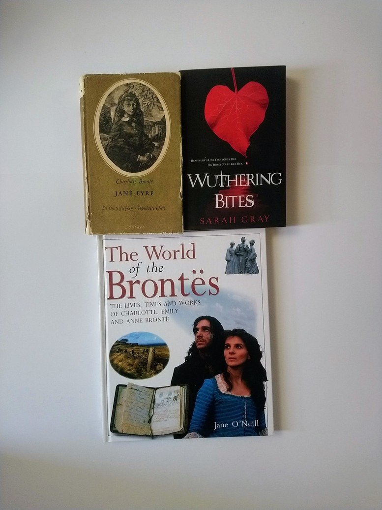 Jane Austen / Bronte sisters books! - photo 2