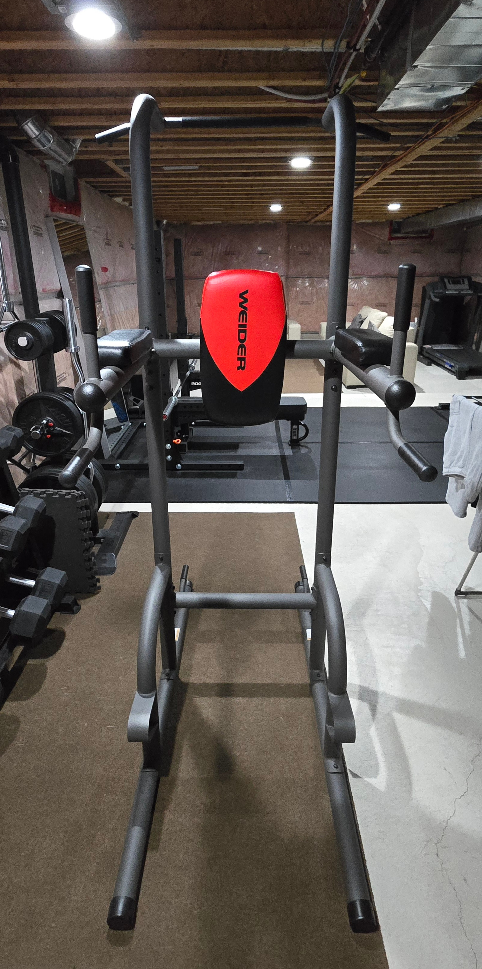 Weider Power Tower - photo 3