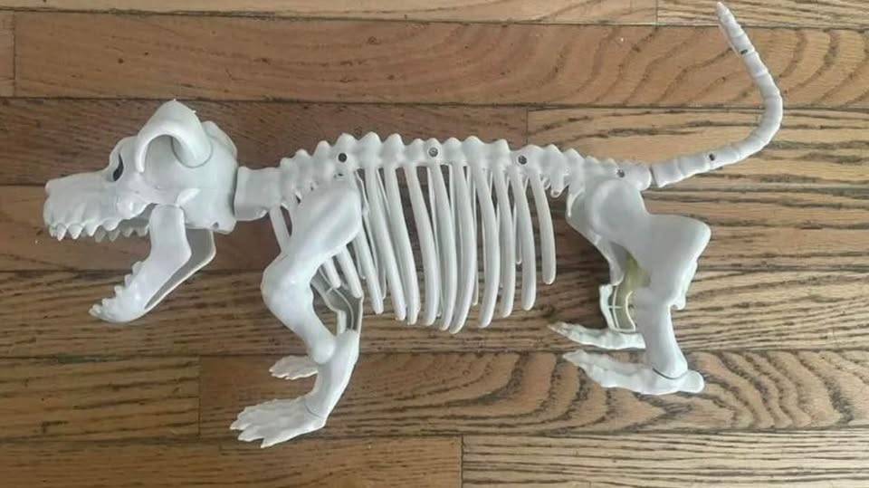 NEW - Skeleton dog with rotating head