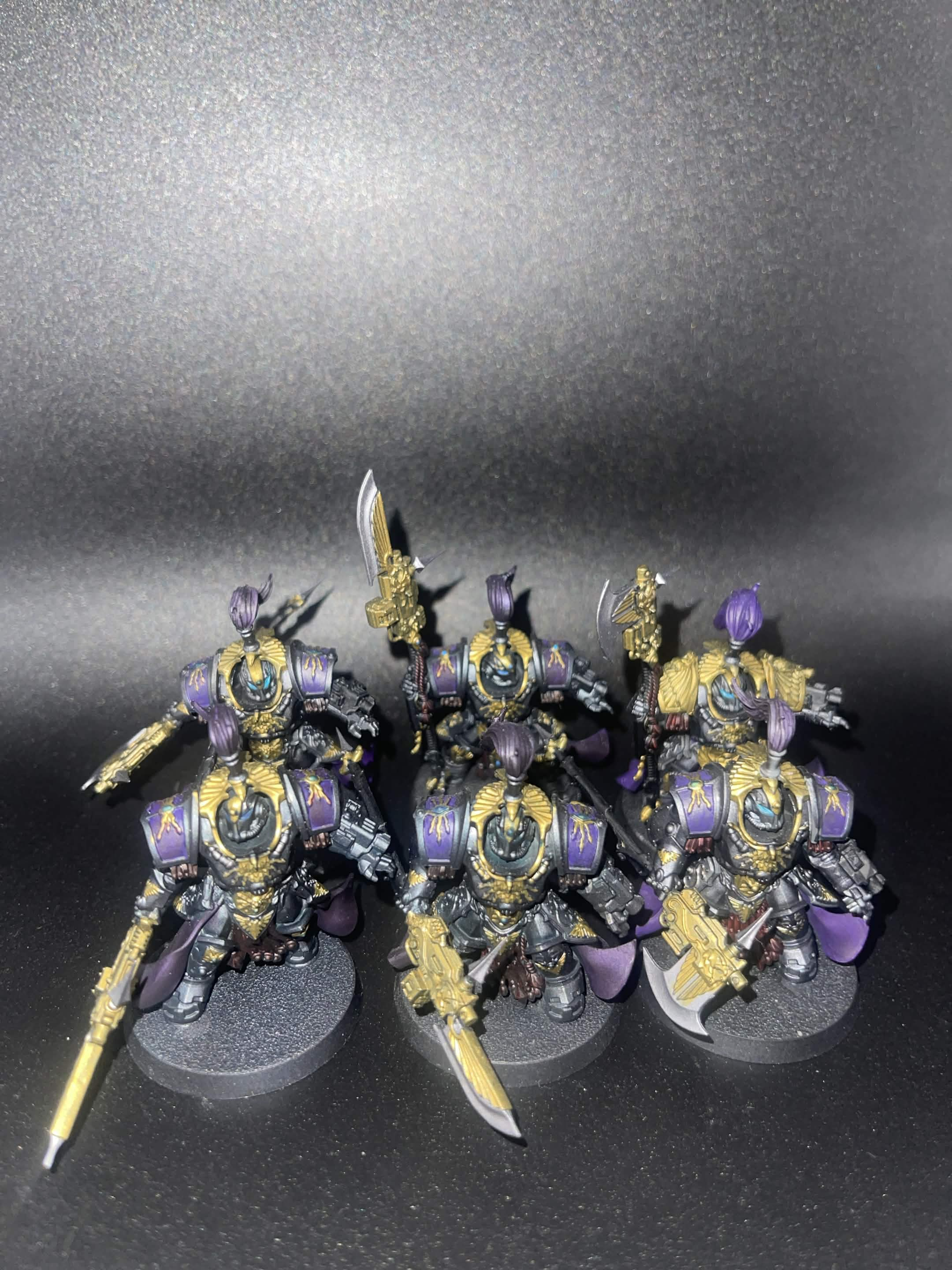 Warhammer 40K Adeptus Custodes 4000+ Pt Army Lot 68 Models