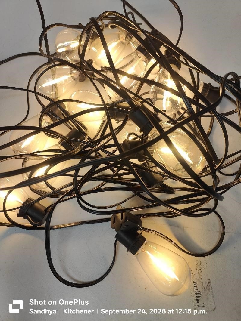 Plug-in Edison Bulb String Lights - photo 2