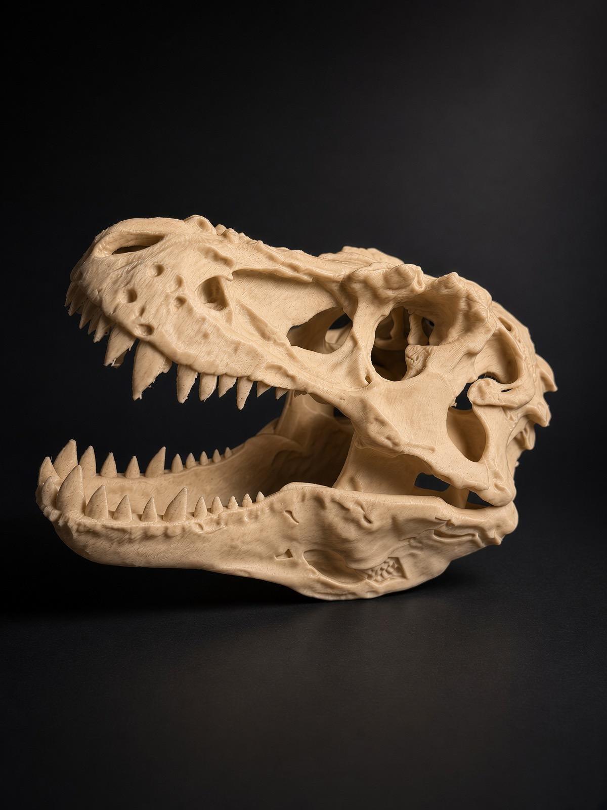 T-Rex Skull Replica, 3D Printed - photo 2