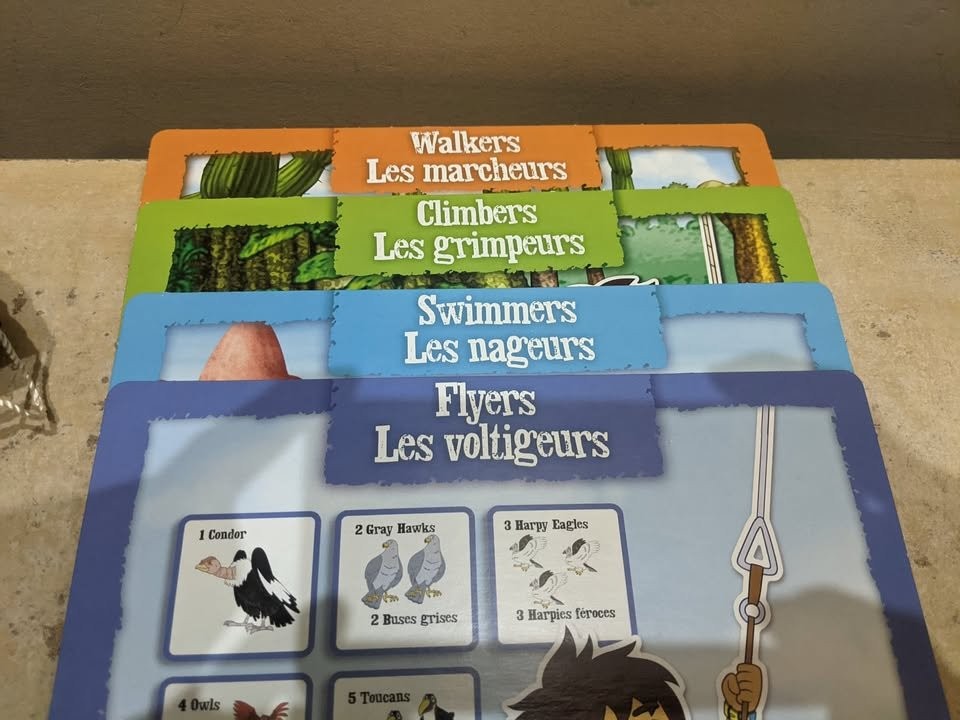 NEW board games, Go Diego go, Match mots & Clue. $25 for all - photo 4