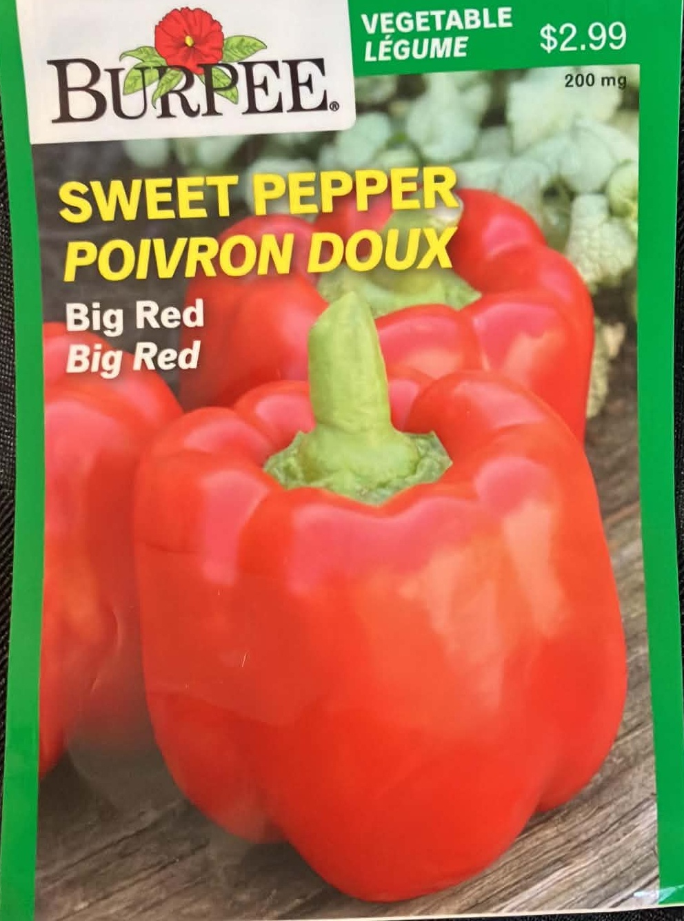 Sweet Pepper Big Red Seeds