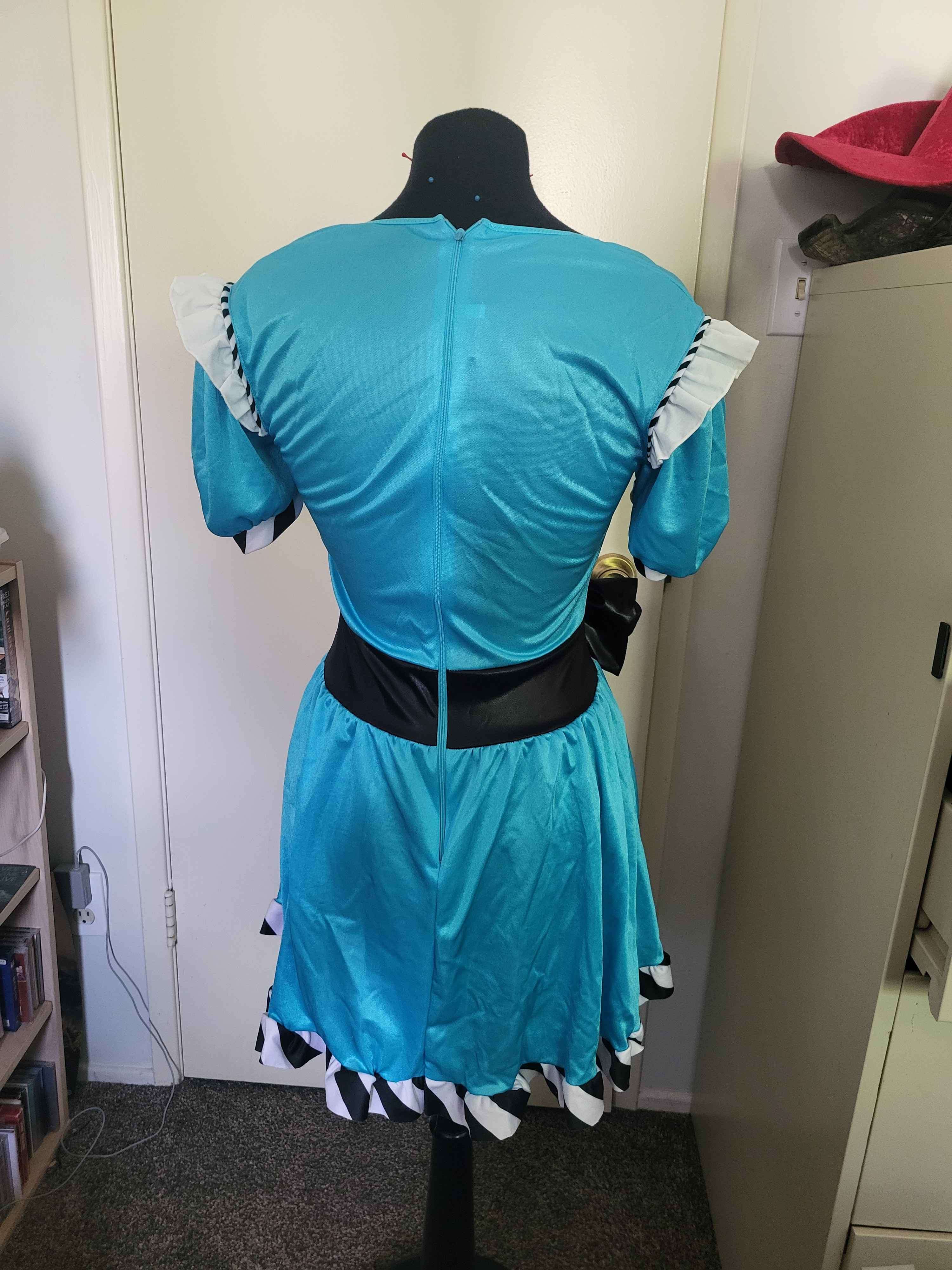 Alice in Wonderland Costume W/ Wig - photo 3