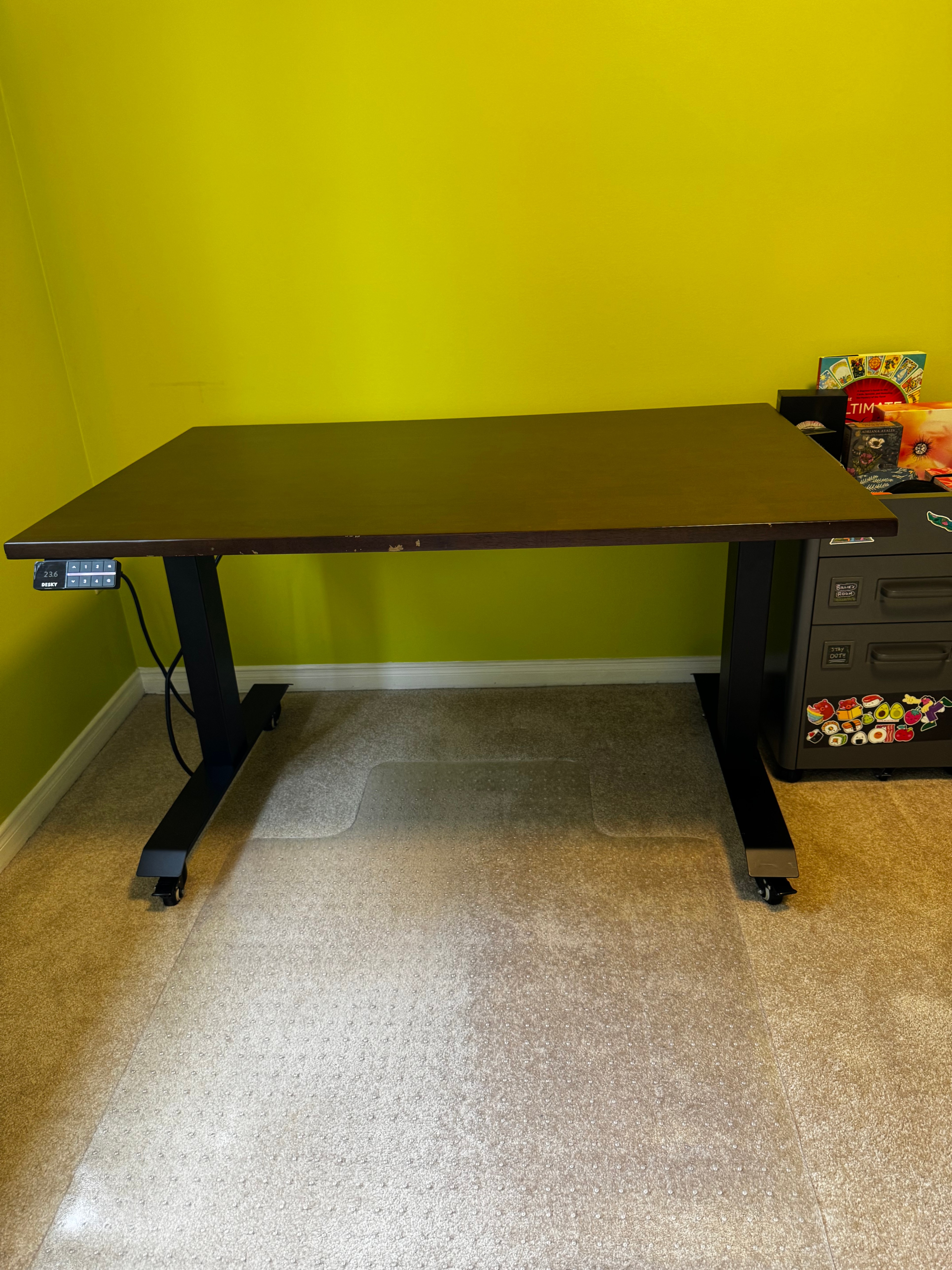 Desky Dual Electric Sit-Stand Desk 48"x30" Solid Rubberwood