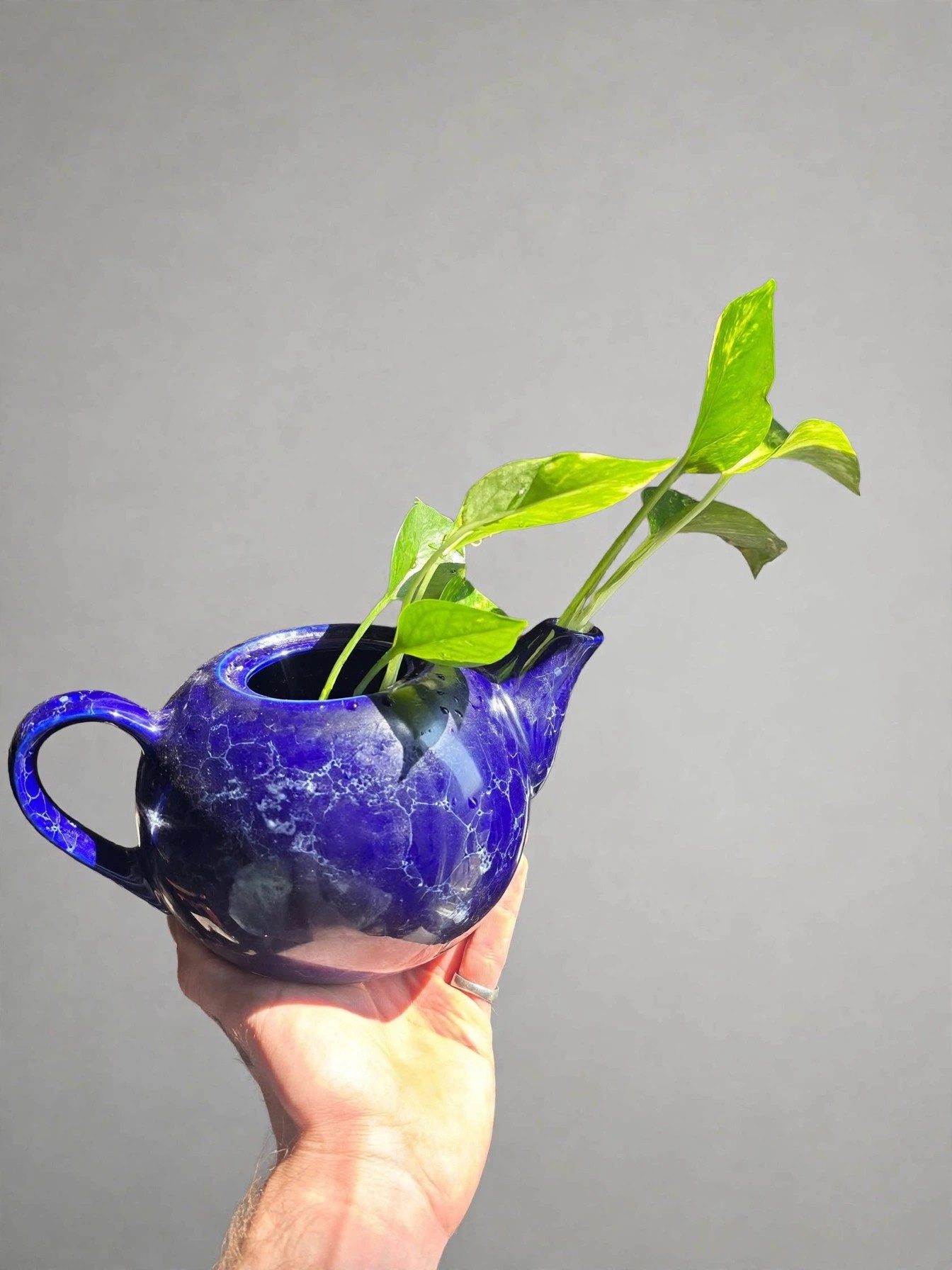 Cobalt Blue Ceramic Teapot Planter Crackle Glaze Lid With Pothos