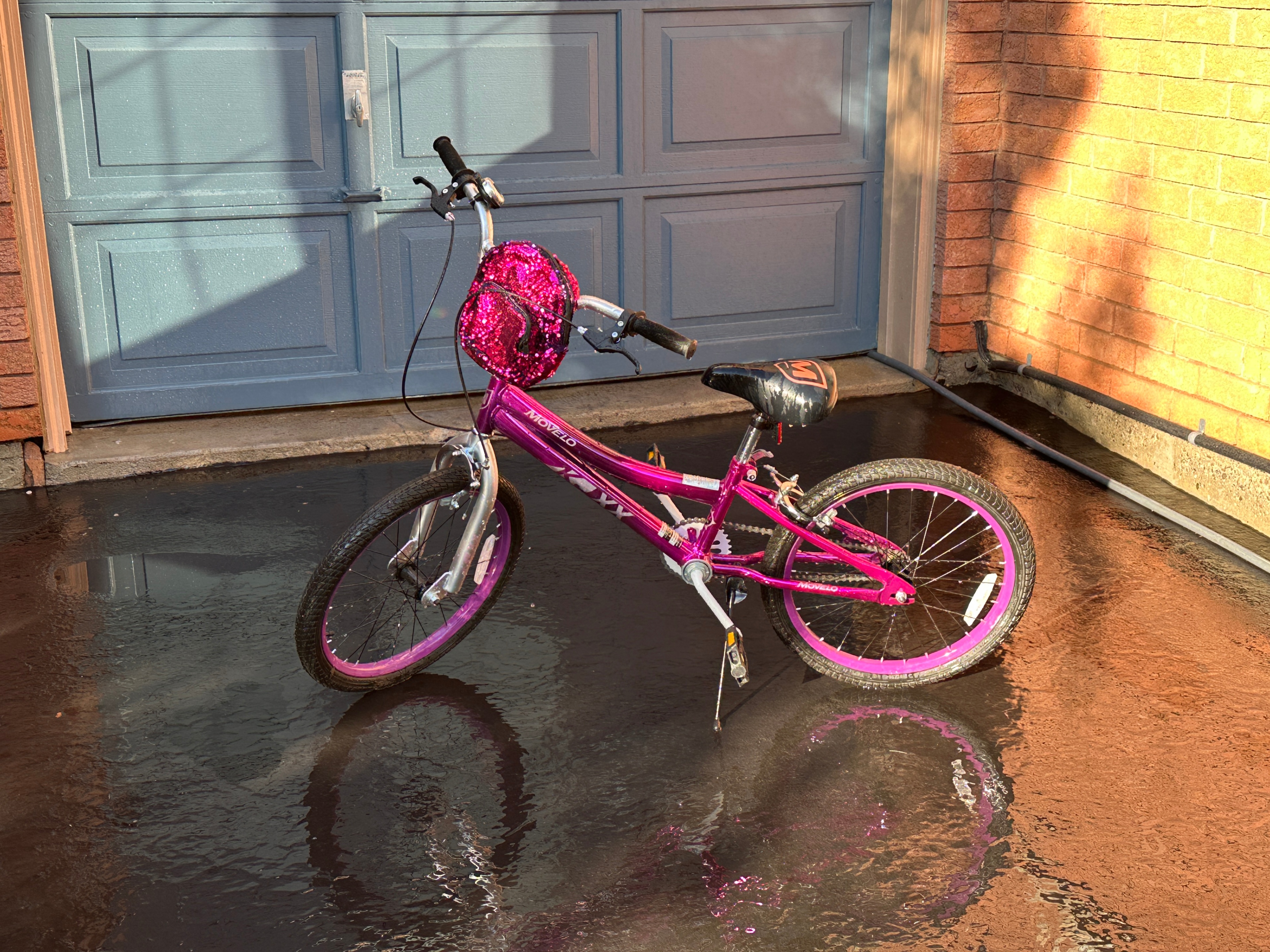Girls Vibrant Purple Pink 20-inch Kids Bicycle