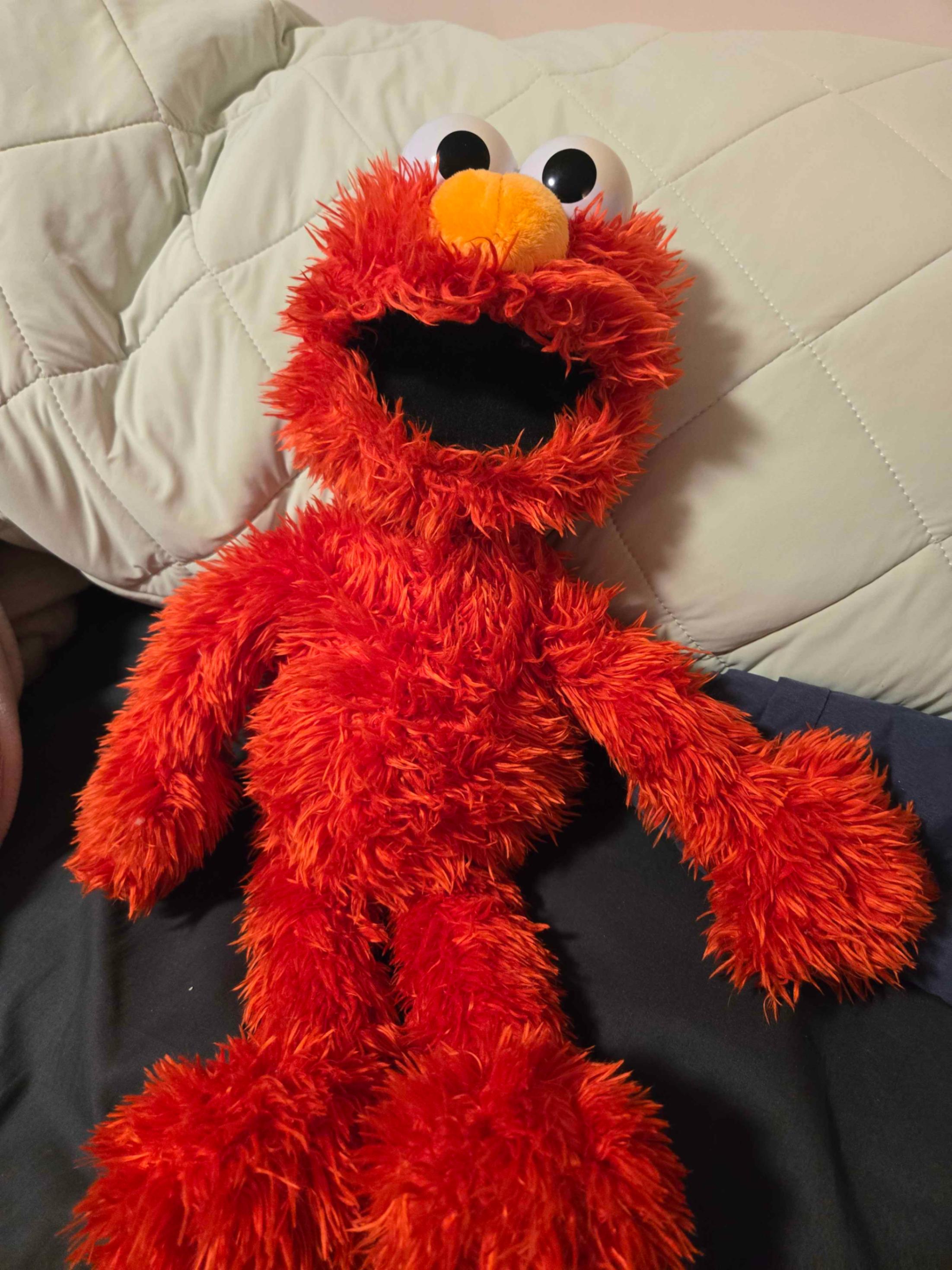 Tickle me Elmo (Delta/Ladner)