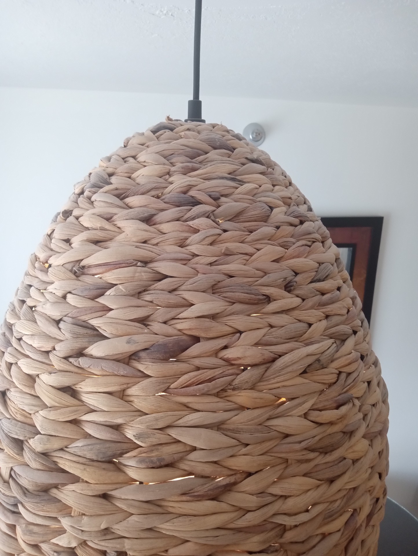 Brand New Bohemian Dome Incandescent Pendant Light - photo 3