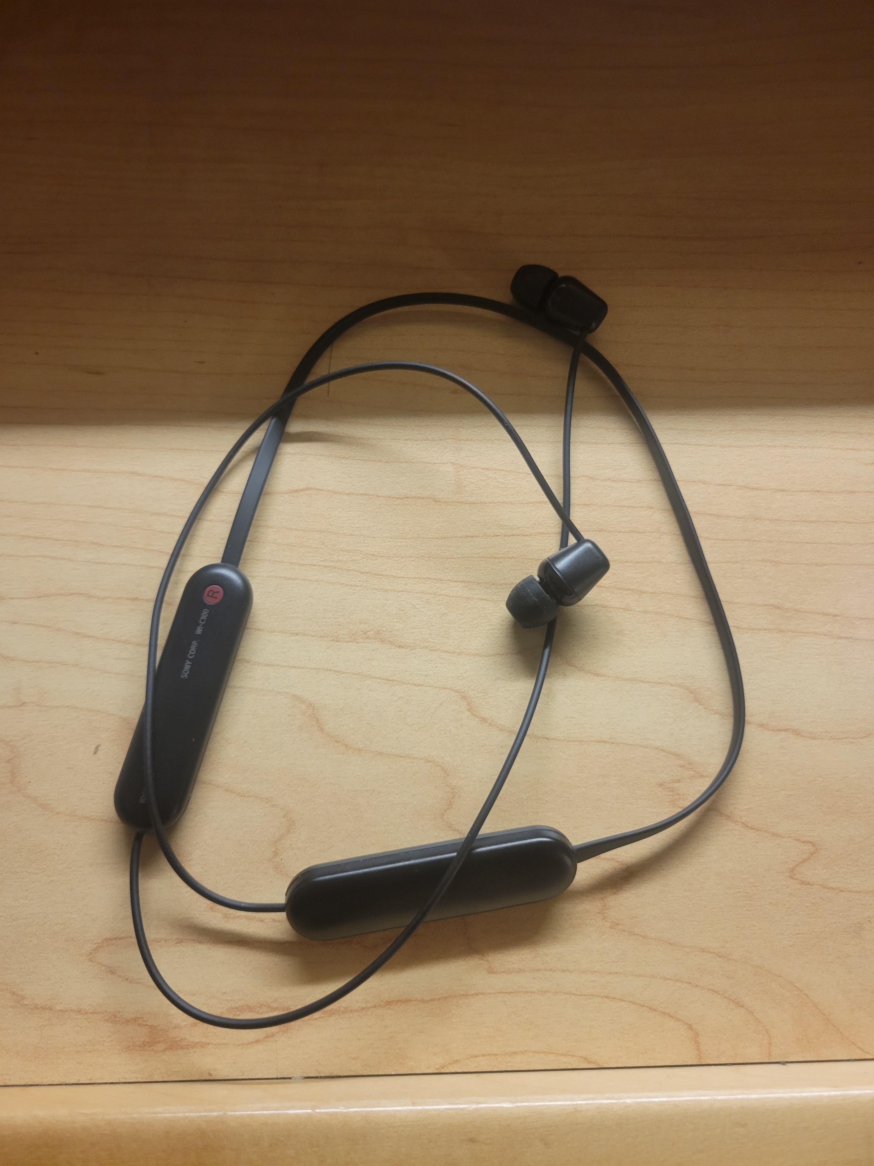 Sony WI-C100 Wireless In-Ear Headphones