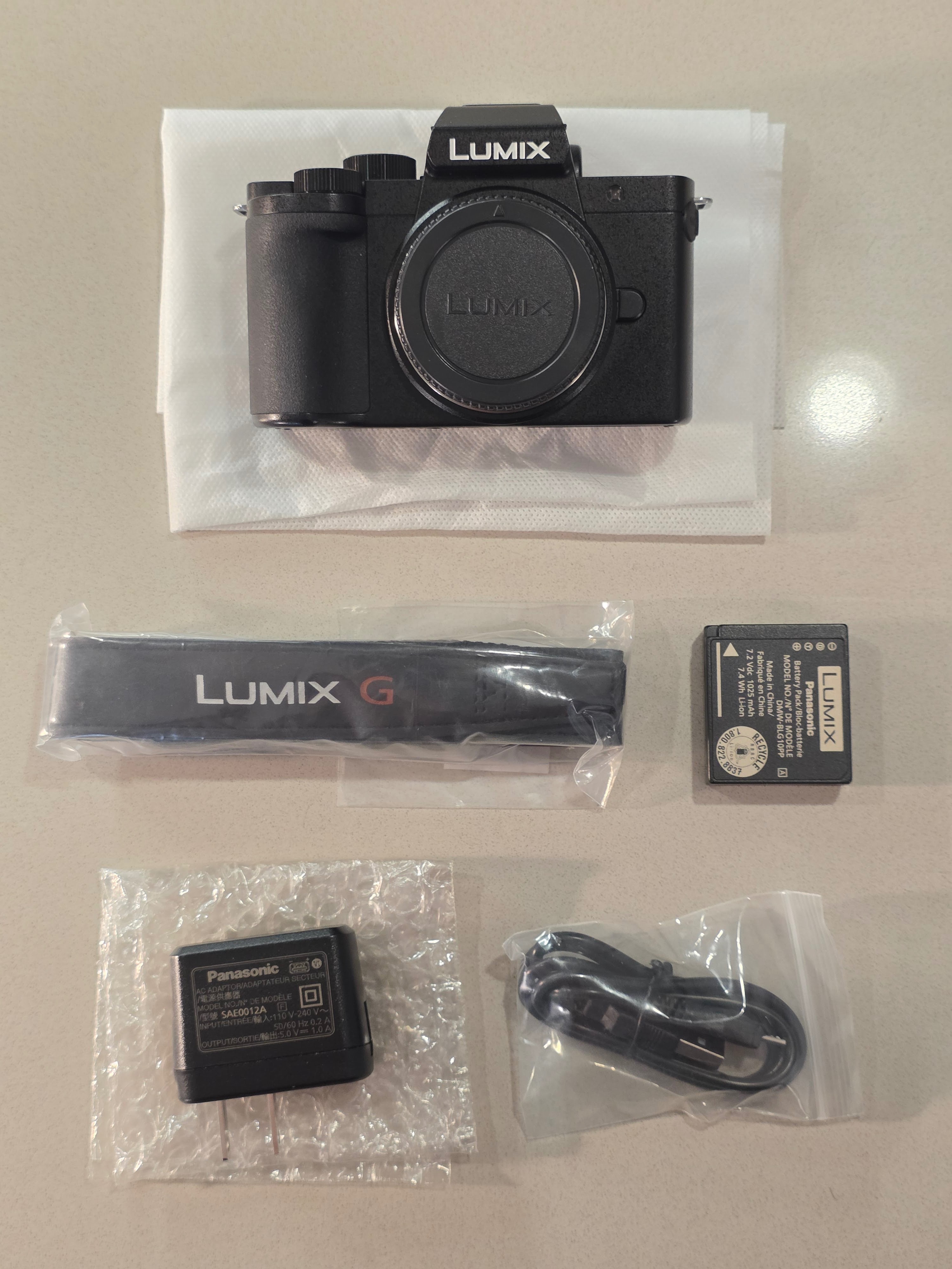 Panasonic Lumix G100 Micro Four Thirds 20.3MP Camera Body