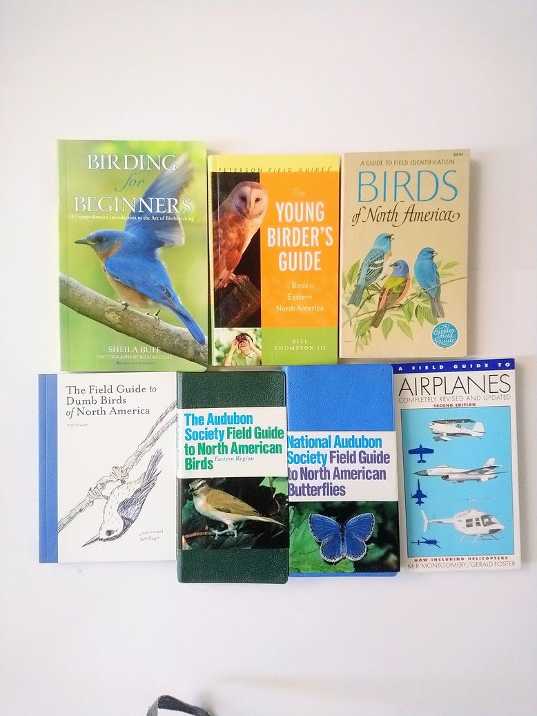 Birds and Other Flying Things - Field Guides