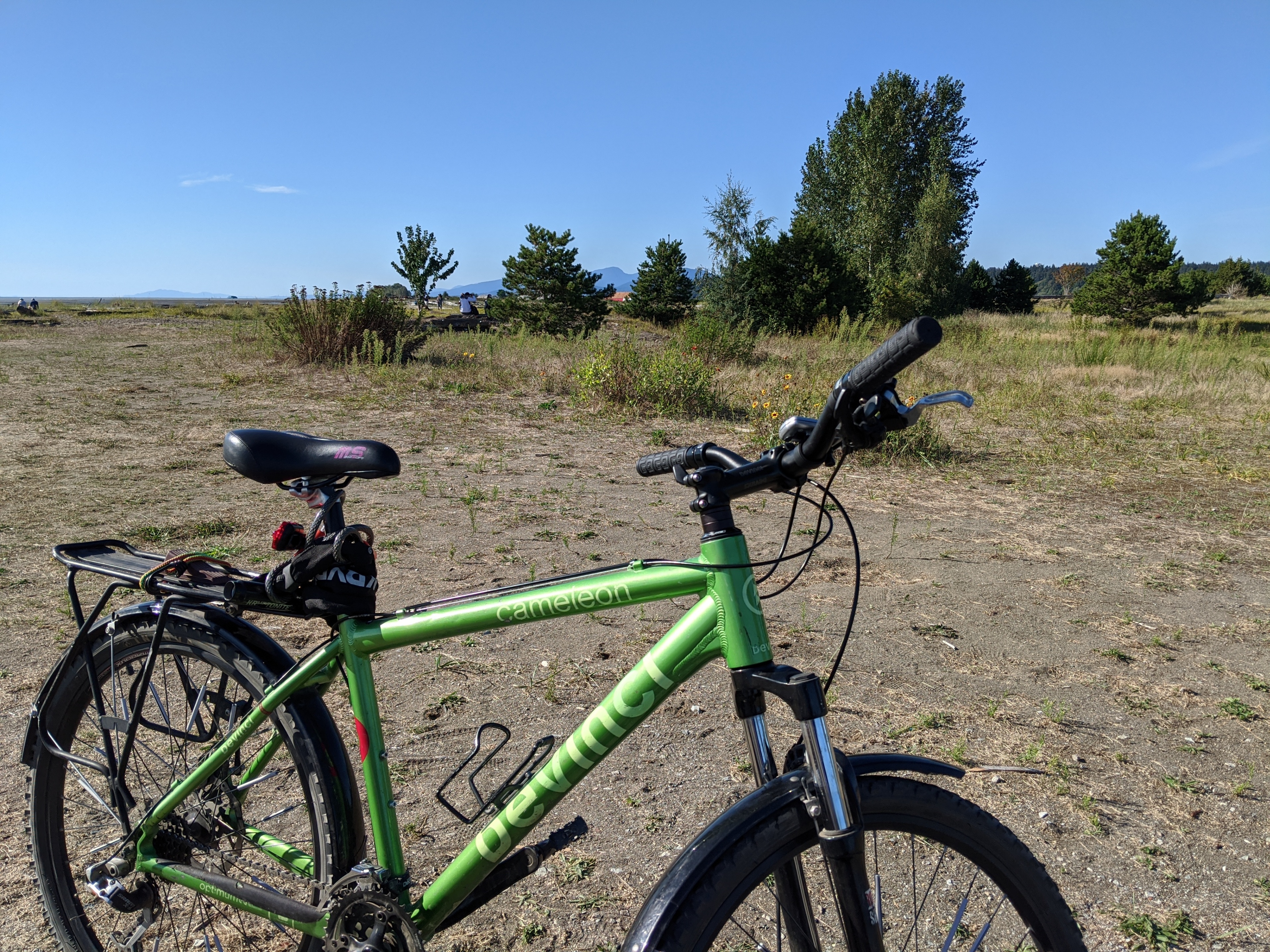 DeVinci Chameleon hybrid bike