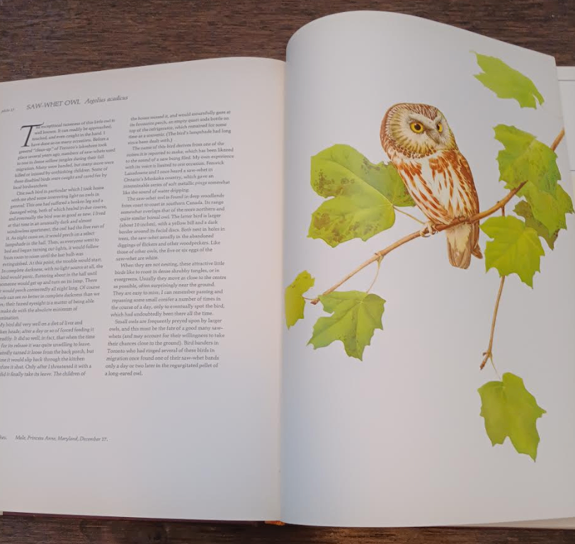 Lansdowne's Birds of the Forest Hardcover Coffee Table Book 1989 - photo 5