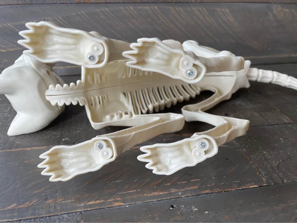 Halloween Skeleton Cat Realistic Looking Halloween Skeleton - photo 5