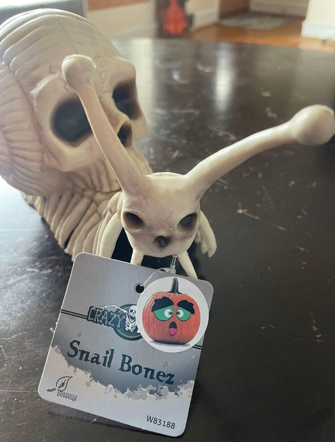 NEW - Crazy Bonez Snail Bonez Skeleton - photo 2
