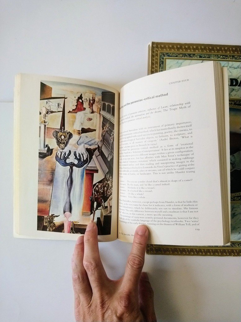 Salvador Dali books! - photo 3