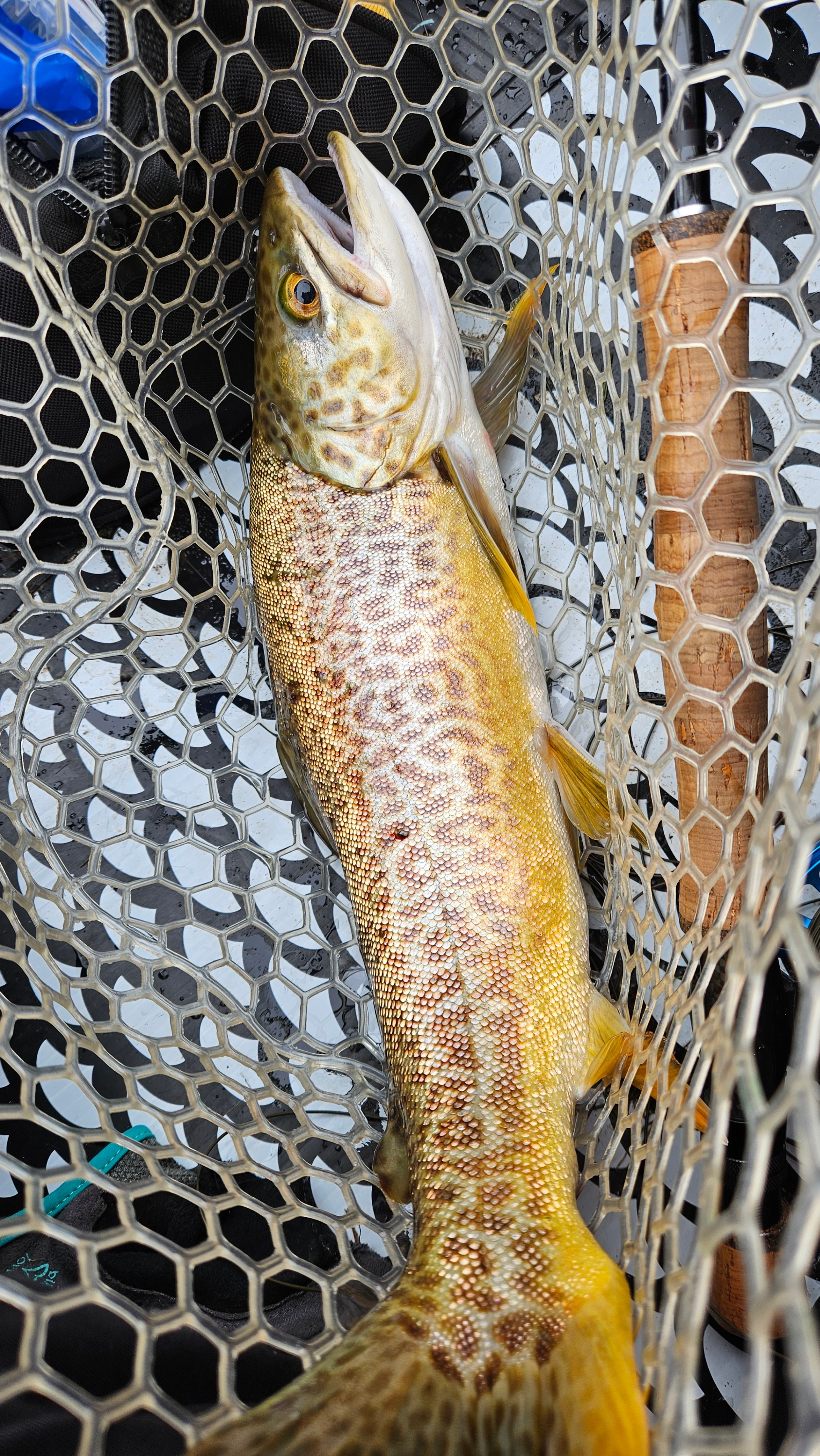 New 9'6" 6wt Fly Rod, 4-Piece - photo 5