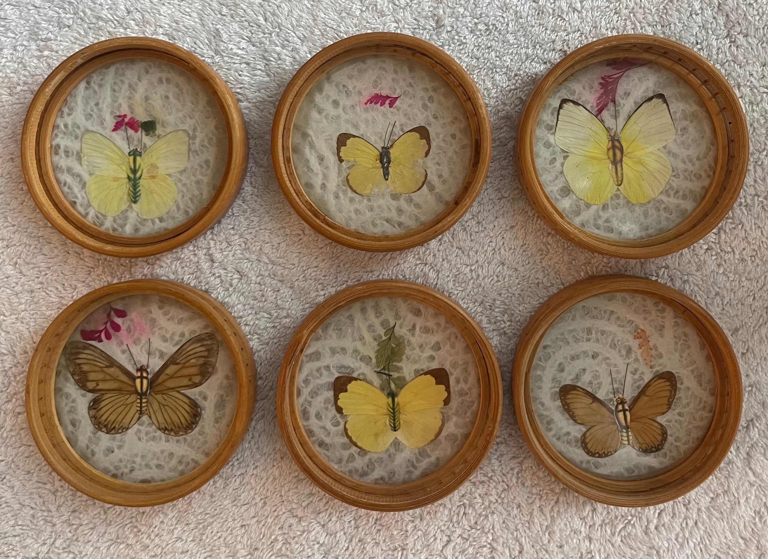 Vintage 1970s Real Butterfly Bamboo Tray & 6 Coasters - photo 4