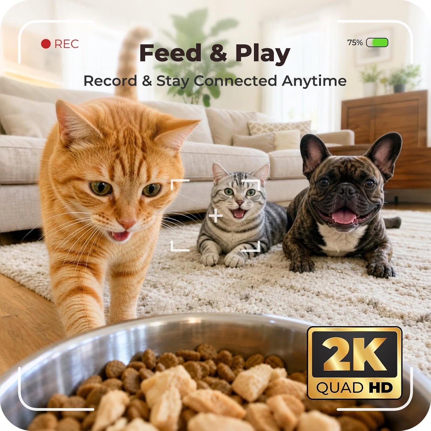Automatic Pet Feeder with 2K Camera: 5G WiFi - photo 2