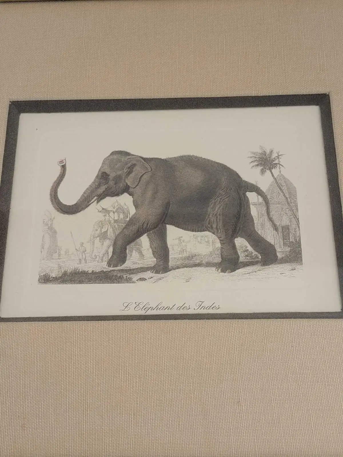 L'Elephant des Indes Framed Wall Art - photo 2