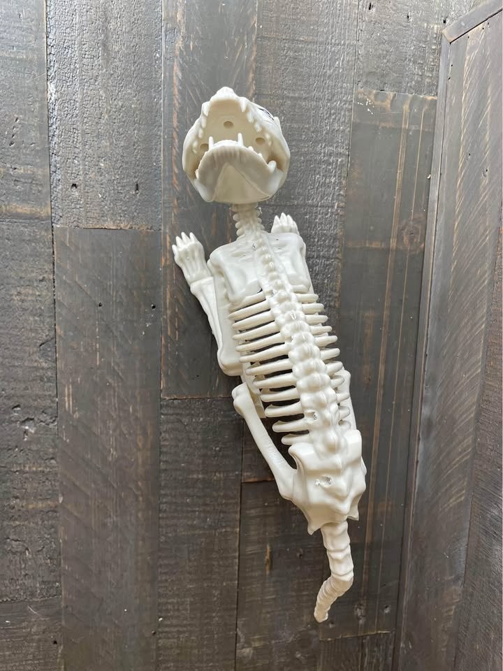 Halloween Skeleton Cat Realistic Looking Halloween Skeleton - photo 2