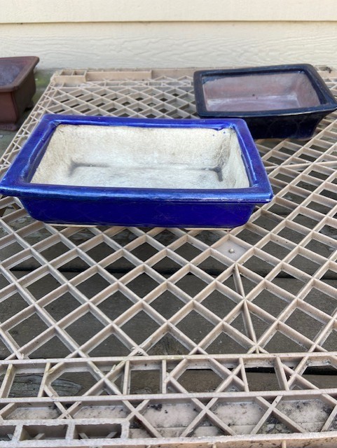 Set of 2 Bonsai Pots
