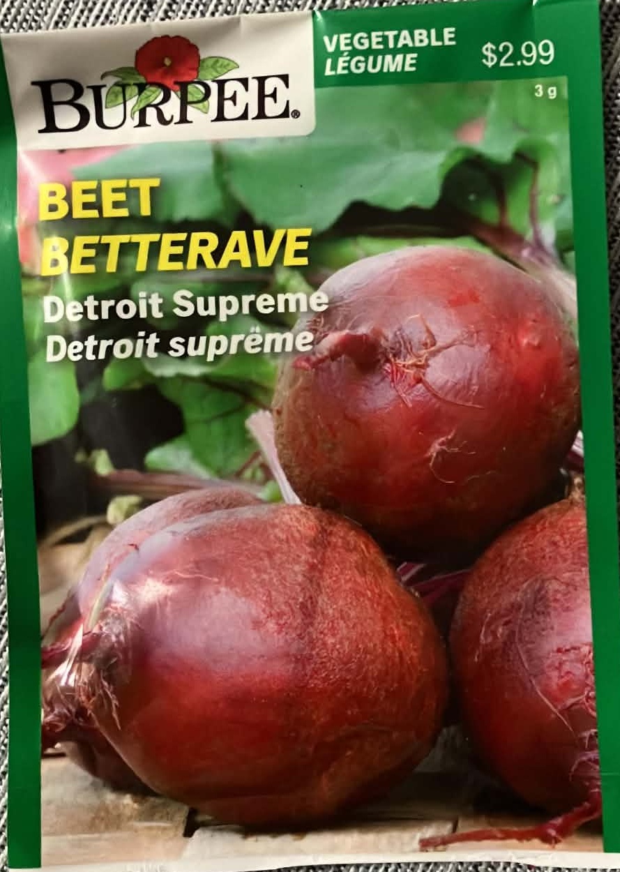 Beet Betterave Seeds