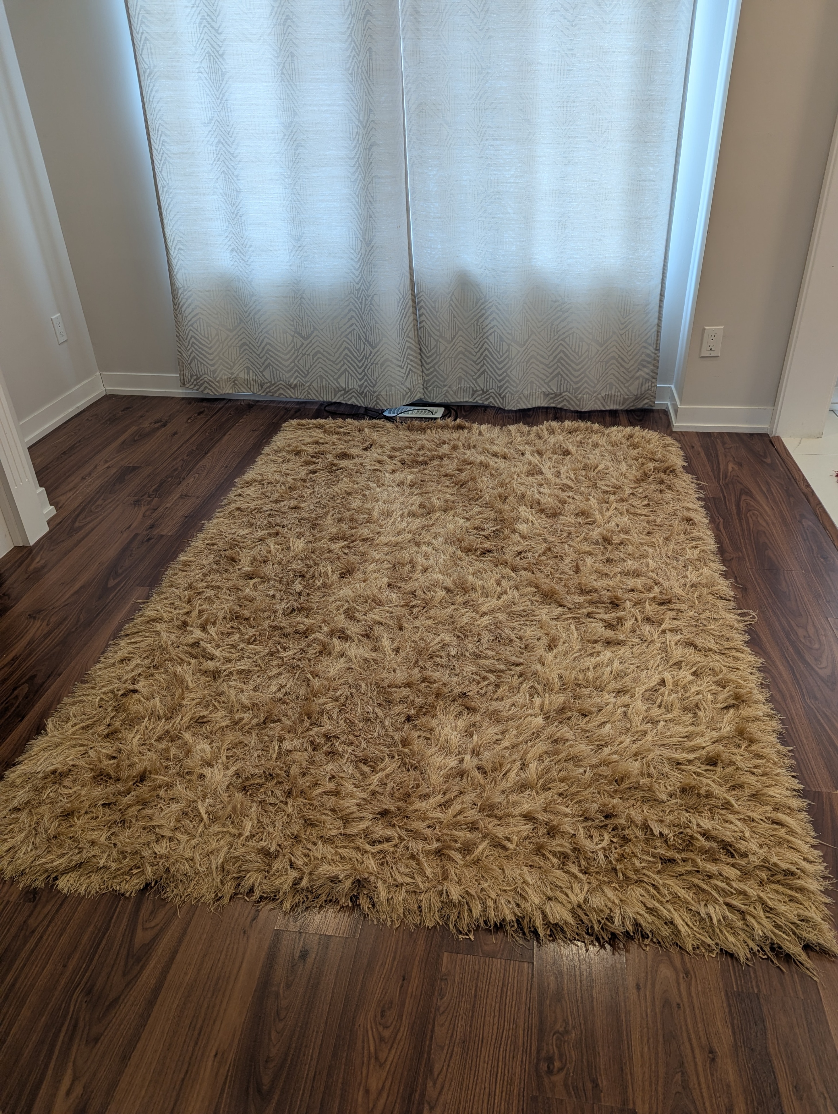 Golden Rug - photo 2