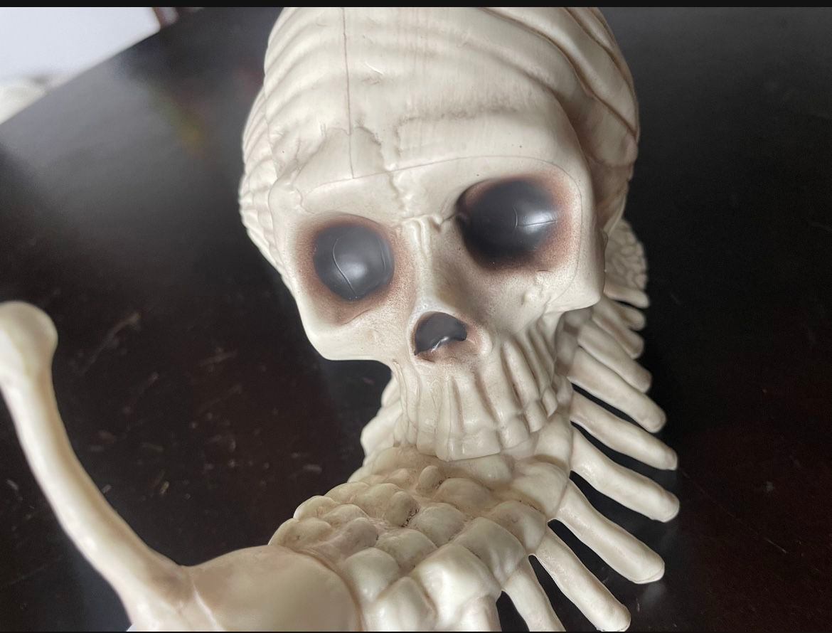 NEW - Crazy Bonez Snail Bonez Skeleton - photo 4